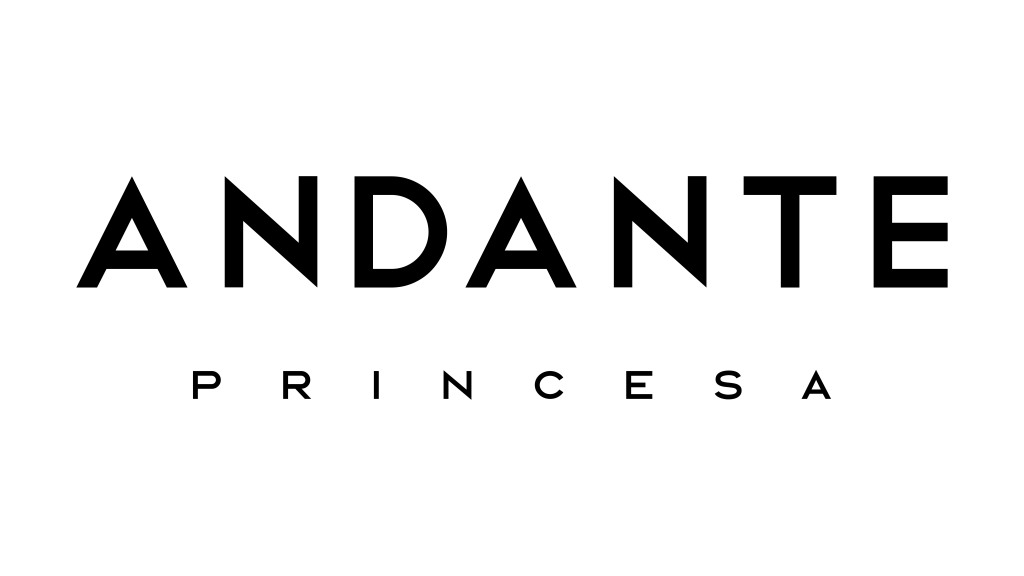 Hotel Andante Princesa, Barcelona
